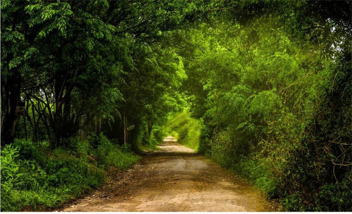  Land in Cordoba, Argentina No. 47714