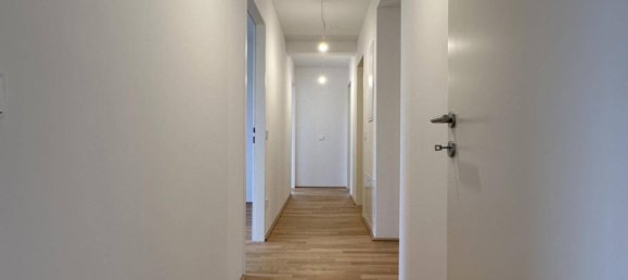 3 bedrooms Apartment in Ebreichsdorf, Austria No. 247703 10