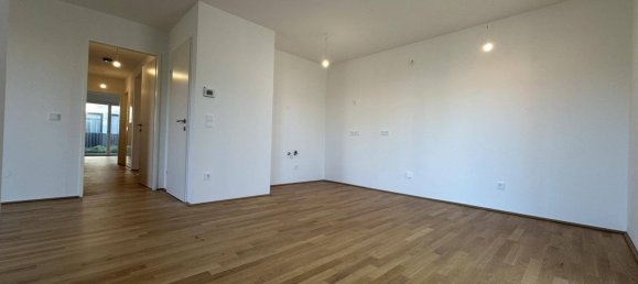 3 bedrooms Apartment in Ebreichsdorf, Austria No. 247703 3