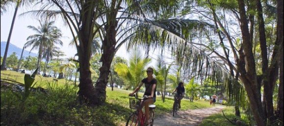 440878m² Commercial property in Phuket, Thailand No. 12328 20