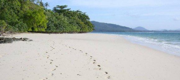 440878m² Commercial property in Phuket, Thailand No. 12328 13