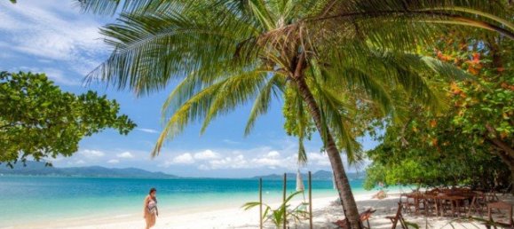 440878m² Commercial property in Phuket, Thailand No. 12328 19