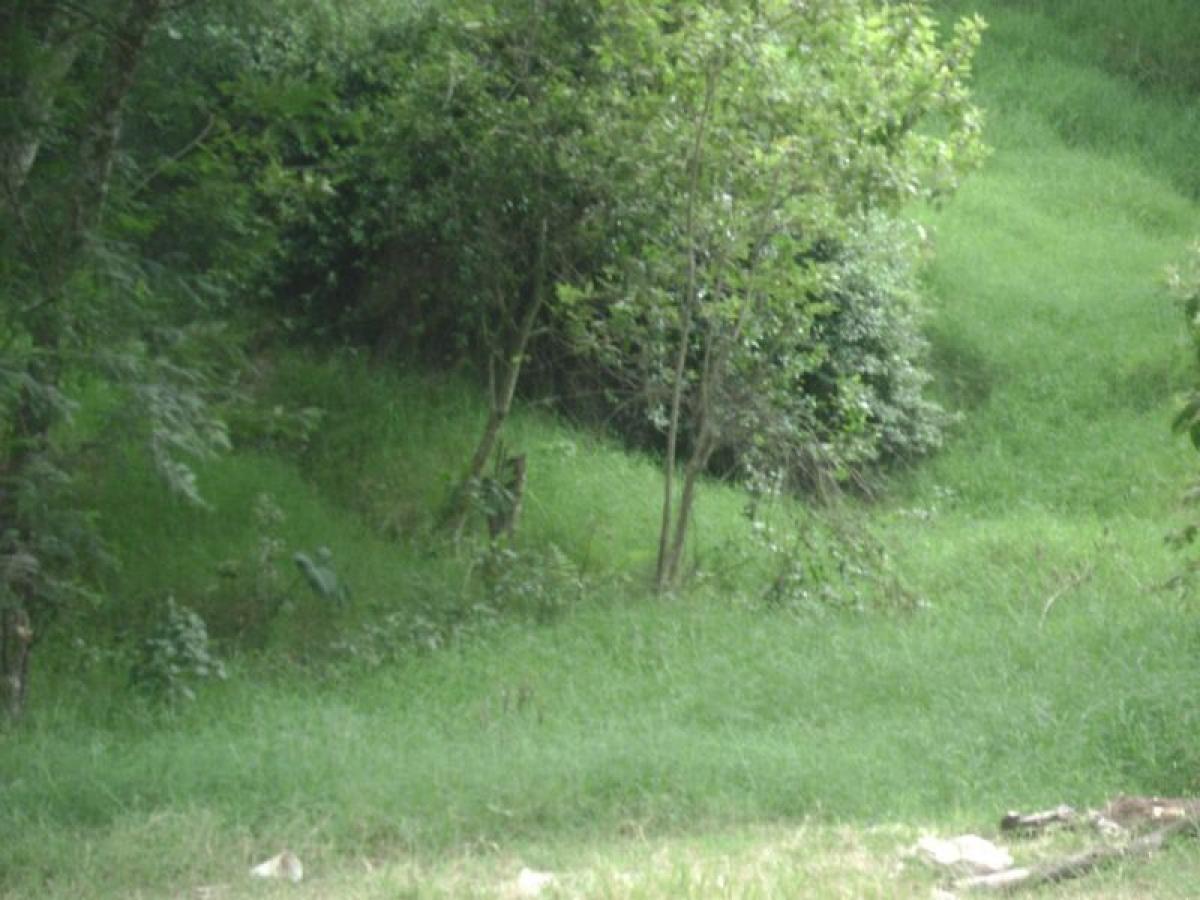 Terrain à Veracruz, Mexico No. 202571