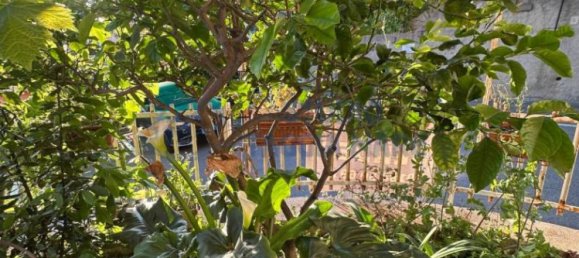 1 bedroom Apartment in Santo Stefano al Mare, Italy No. 155746 10