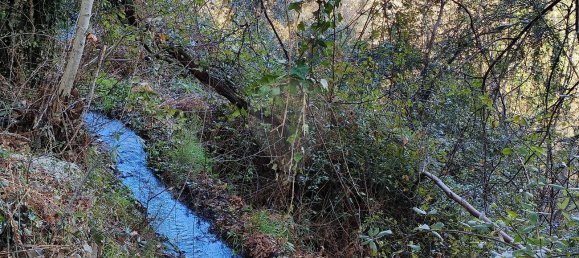  Land in Covide, Portugal No. 11366 2