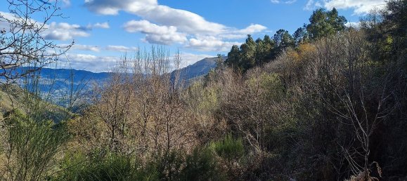  Land in Covide, Portugal No. 11366 5