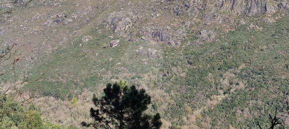  Land in Covide, Portugal No. 11366 9