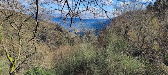  Land in Covide, Portugal No. 11366 7