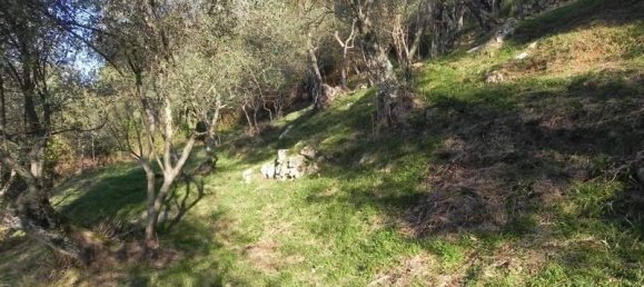 7 rooms House in Camaiore, Italy No. 27654 7