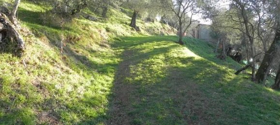 7 rooms House in Camaiore, Italy No. 27654 8