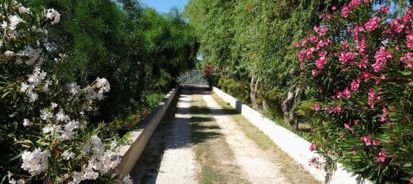 12 chambres Villa à Campomarino, Italy No. 256159 7