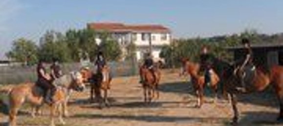 12 chambres Villa à Campomarino, Italy No. 256159 2