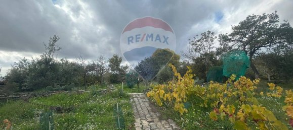 2-Zimmer Haus in Belpasso, Italy, Nr. 166587 26