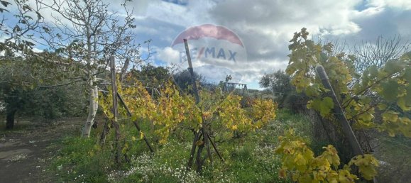 2-Zimmer Haus in Belpasso, Italy, Nr. 166587 28