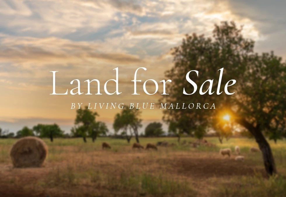  Land in Campos, Spain No. 204388