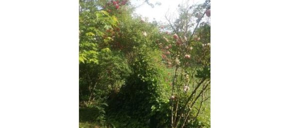 Casa de 5 habitaciónes en Molinella, Italy No. 253429 4