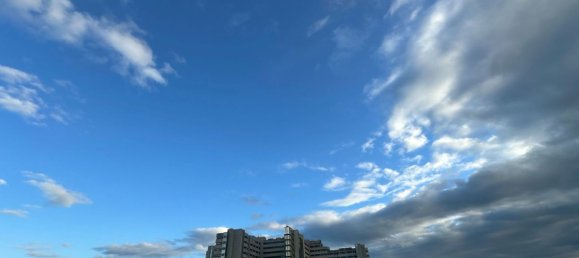 3 rooms Office in Selargius, Italy No. 58442 11