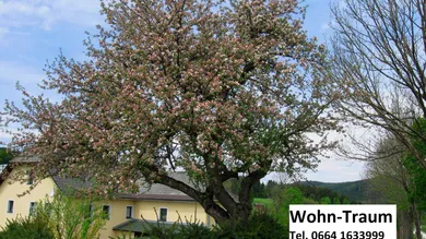 Casa de 9 divisões em Bad Leonfelden, Austria N.º 142775
