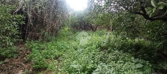 Terreno de 1 habitación en Cefalù, Italy No. 287974 6