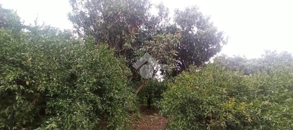 Terreno de 1 habitación en Cefalù, Italy No. 287974 10