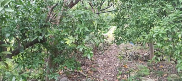 Terreno de 1 habitación en Cefalù, Italy No. 287974 2