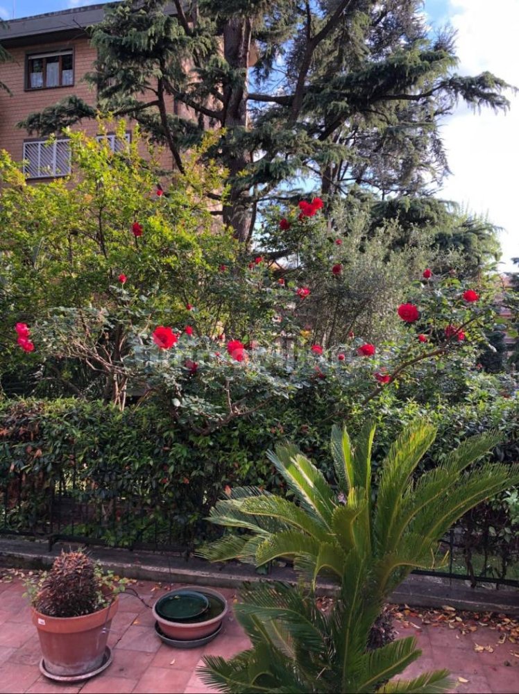 2 bedrooms Apartment in Rome, Italy No. 250922