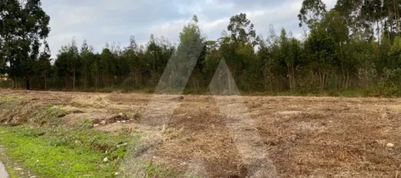 Grundstück in Aveiro, Portugal, Nr. 86732 5