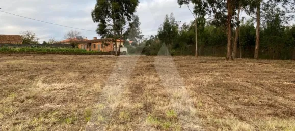 Grundstück in Aveiro, Portugal, Nr. 86732 3