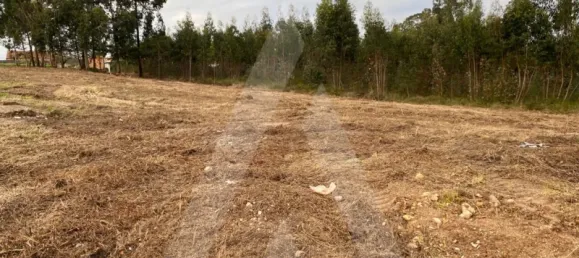 Grundstück in Aveiro, Portugal, Nr. 86732 4