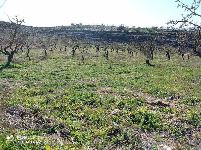 11722m² Land in Durcal, Spain No. 221539