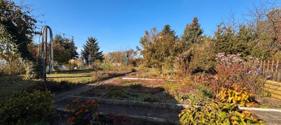 6-salle Maison de ville à Wittenberg, Germany No. 128296 21