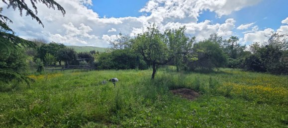 5 غرف نوم منزل في Arezzo, Italy رقم 316006 15