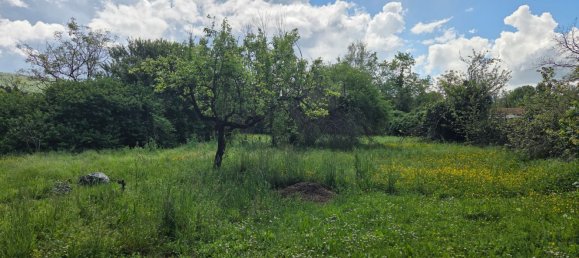 5 غرف نوم منزل في Arezzo, Italy رقم 316006 11