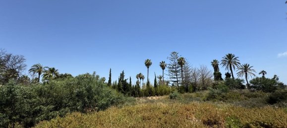  Land in Marbella, Spain No. 183484 10