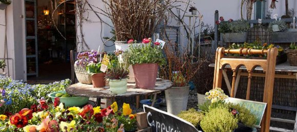 Estúdio em Moabit, Germany N.º 41071 2