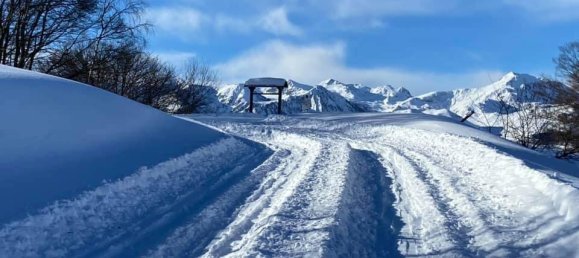 1 غرف نوم شقة في Montaldo di Mondovì, Italy رقم 303896 14