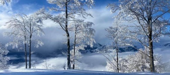 1 غرف نوم شقة في Montaldo di Mondovì, Italy رقم 303896 13