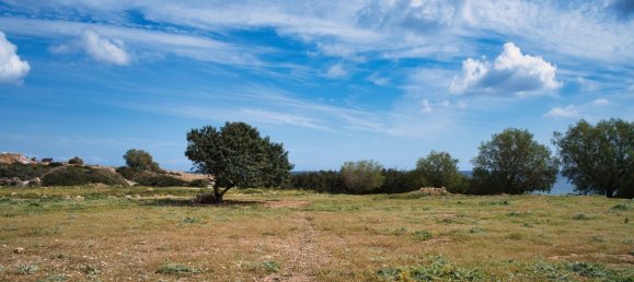 11977m² Hotel in Chania, Greece No. 56 4