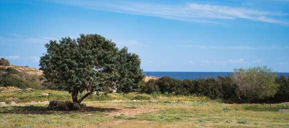 11977m² Hotel in Chania, Greece No. 56 3