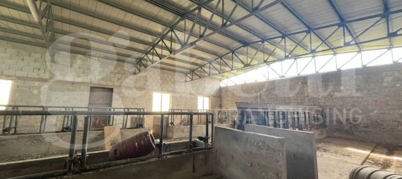 11 rooms House in Piedimonte Matese, Italy No. 63727 7