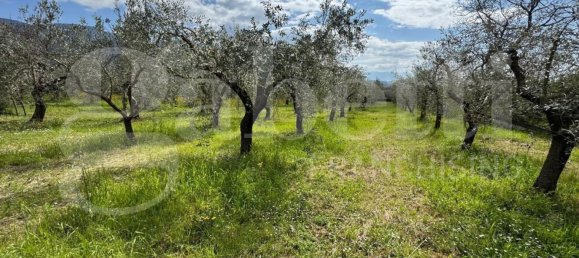 11 rooms House in Piedimonte Matese, Italy No. 63727 32