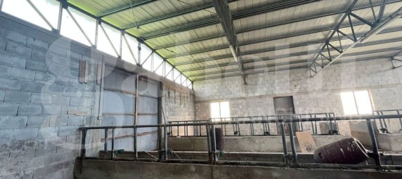 11 rooms House in Piedimonte Matese, Italy No. 63727 6