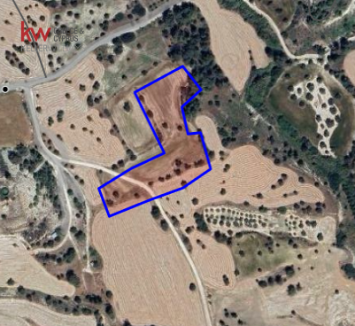  قطعة أرض في Anglisides, Cyprus 10703متر مربع رقم 26907