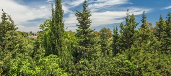 2 bedrooms Penthouse in Marbella, Spain No. 56938 53