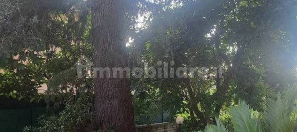 5 bedrooms Apartment in Rome, Italy No. 222408 2