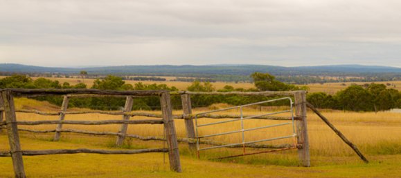 4 bedrooms Farm in Runnymede, Australia No. 156 4