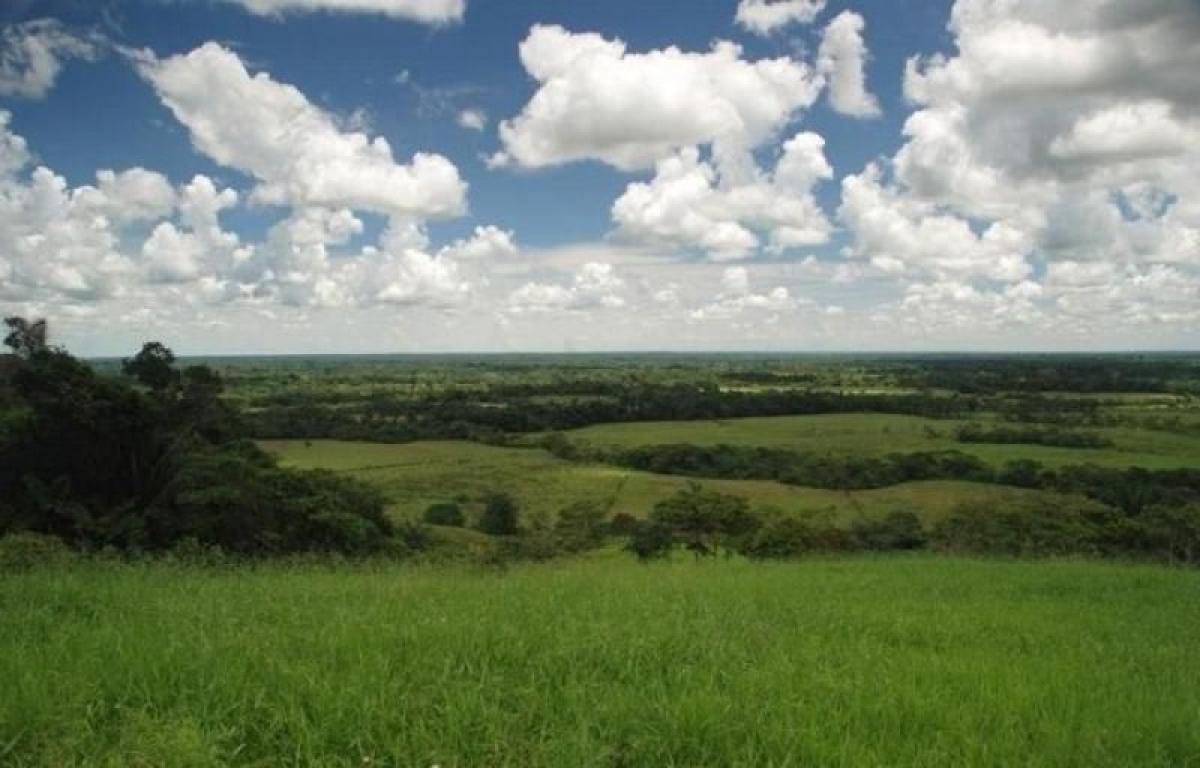 Studio in Cundinamarca, Colombia No. 8945