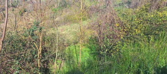 8 rooms House in Cantalice, Italy No. 113904 15