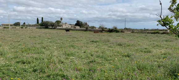 2-Zimmer Haus in Rosolini, Italy, Nr. 235950 11