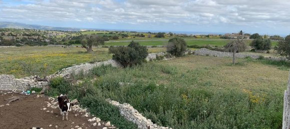 2-Zimmer Haus in Rosolini, Italy, Nr. 235950 8